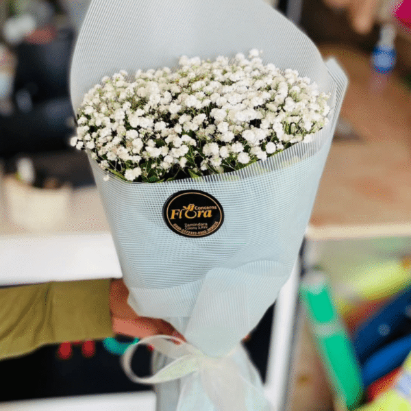 White Baby's Breath Cloud Bouquet
