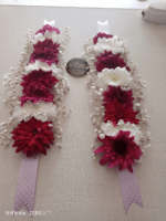 Rich Maroon & White Chrysanthemum Gajra - Image 2