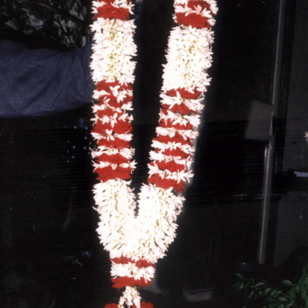 Red aur White Floral Garland (mala)